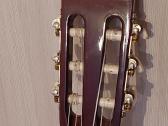 Gitara - nuotraukos Nr. 2