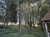Erdvi sodyba su 2 ha sklypu ir 7 pastatais - nuotraukos Nr. 29