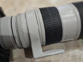 Canon EOS-1D X su linze Canon 70-200 ultrasonic - nuotraukos Nr. 2