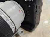 Canon EOS-1D X su linze Canon 70-200 ultrasonic - nuotraukos Nr. 7