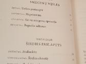 Proto ir širdies magija - nuotraukos Nr. 5