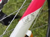 Dviratis Rockrider St 100 - nuotraukos Nr. 28