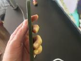 iPhone 13 - nuotraukos Nr. 4