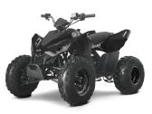 Vaikiškas keturratis Linhai Atv 110 - nuotraukos Nr. 4