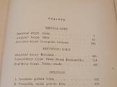 Broliai Karamazovai 1 ir 2 tomas - nuotraukos Nr. 4