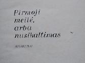 Pirmoji meilė, arba nusikaltimas - nuotraukos Nr. 2
