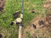 G Loomis Imx Pro Swbr su Shimano Calcutta 301 Xg - nuotraukos Nr. 4