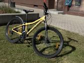 Scott Roxter 26 Disc Bike, Yellow - nuotraukos Nr. 2