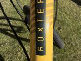 Scott Roxter 26 Disc Bike, Yellow - nuotraukos Nr. 7