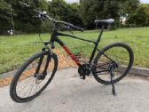 Giant Roam 4 Disc - nuotraukos Nr. 2