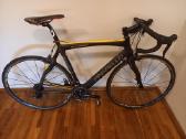 Plento sportinis dviratis Pinarello - nuotraukos Nr. 2