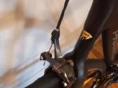 Plento sportinis dviratis Pinarello - nuotraukos Nr. 5