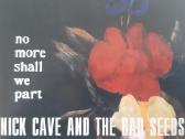 Nick Cave - nuotraukos Nr. 2