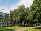 Parduodamas jaukus 1 kambario butas - nuotraukos Nr. 7