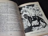 Iliustruota Didžioji Klasika knygų kolekcija - nuotraukos Nr. 23