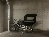 Radpower Radwagon 4 - nuotraukos Nr. 2