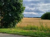 84 arų Nv sklypas Žinėnų km., Jonavos raj - nuotraukos Nr. 6