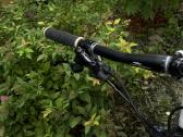 MTB dviratis Black Forest Focus - nuotraukos Nr. 5