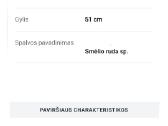 Pilka dujinė kaitlentė Beko su nuotėkio apsauga - nuotraukos Nr. 9