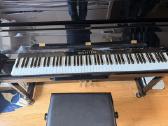 Aukščiausios klasės vokiškas pianinas C. Bechstein - nuotraukos Nr. 5