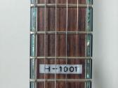 Esp ltd H - 1001 elektrine gitara - nuotraukos Nr. 5