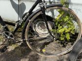 Record Italiskas retro - vintage dviratis - nuotraukos Nr. 6