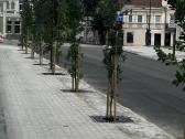 Apželdinimo darbai ir augalų priežiūra - nuotraukos Nr. 3