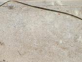 Trosas dengtas Pvc plastiku 1,5m., skersmuo 8mm - nuotraukos Nr. 2