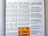 Kaip pačiam sumūryti krosnį ir židinį - nuotraukos Nr. 3
