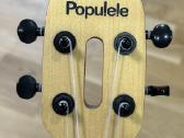 Smart Ukulele “populele - nuotraukos Nr. 5