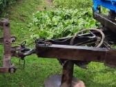 Mtz-80 su didžiaja kabina, su turbina. - nuotraukos Nr. 8