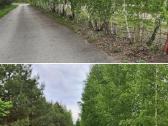 Parduodamas parkas - sodyba - nuotraukos Nr. 24