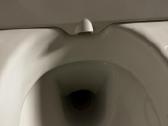 Geberit Aquaclean Sela tualeto puodas su bidė - nuotraukos Nr. 4