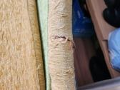 Sofa-lovs - nuotraukos Nr. 7