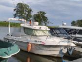 Quicksilver 650 Camping - nuotraukos Nr. 4