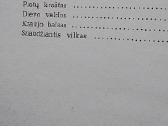 Baltoji iltis - nuotraukos Nr. 4
