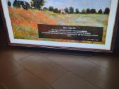 LG Oled 65cx - nuotraukos Nr. 3