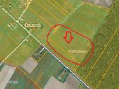 Žemės sklypo dalis 1,21 ha iš bendro 3,19 ha ploto - nuotraukos Nr. 2