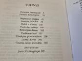 Durnių laivas - nuotraukos Nr. 3