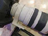 Canon EOS-1D X Mark III su linze 70-200mm 1:2.8 - nuotraukos Nr. 13