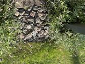 Dekoratyviniai akmenys / skalda kiemui ar gėlynui - nuotraukos Nr. 7