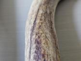 2 vnt ragai, 60 cm - nuotraukos Nr. 3