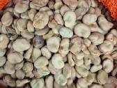 Didziosios pupos, 10kg 40e - nuotraukos Nr. 3