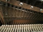 Solidus Eisenberg pianinas - nuotraukos Nr. 11