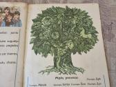 Vyturėlis C elementorius - nuotraukos Nr. 5