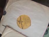 Vinilines ploksteles - nuotraukos Nr. 6
