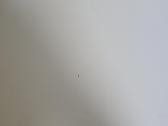 Naudotas Ikea stalas - nuotraukos Nr. 3