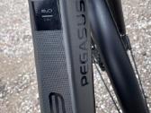 Pegasus Premio EVO 5F dviratis - nuotraukos Nr. 5