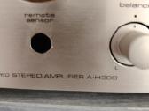 Teac h300 - nuotraukos Nr. 4
