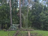 Pavojingų ir išvirtusių medžių pjovimas – greitai - nuotraukos Nr. 3